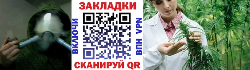 Купить закладку ГАШ  Alpha-PVP  Псилоцибиновые грибы  Бошки Шишки  Меф  Фатеж