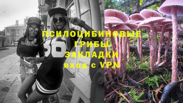 мяу мяу мука Киренск