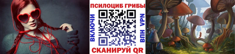 Купить закладки  Фатеж  Галлюциногенные грибы Cubensis 